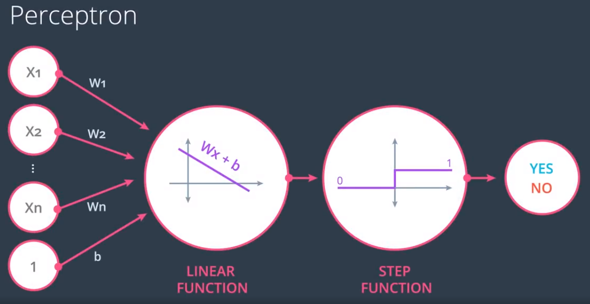 Diagrama de un perceptrón